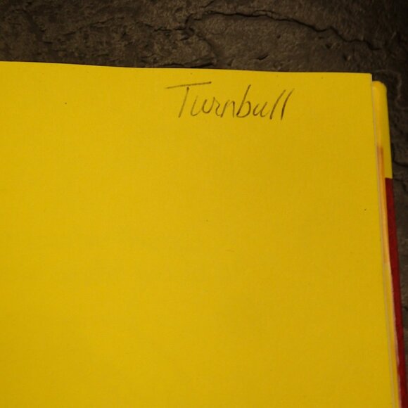 Geronimo Stilton The Hunt for the Golden Book Hardcover - Picture 3 of 3